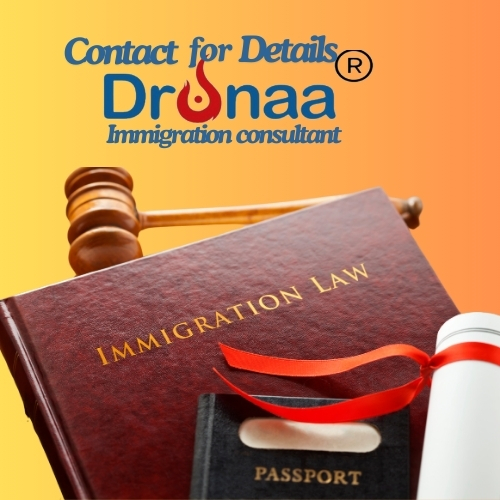 Dronaa provides the most comprehensive support in immigration process